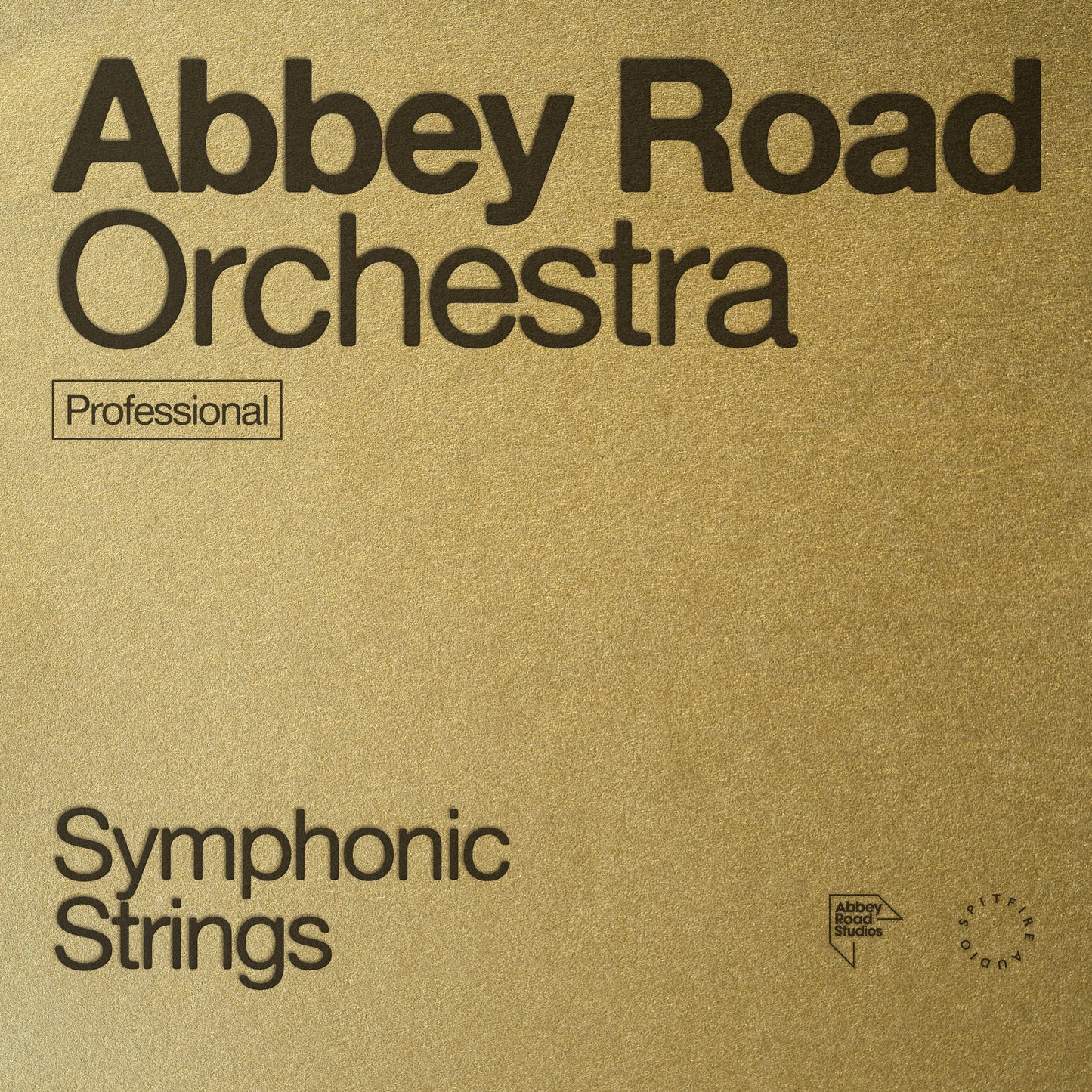 Abbey Road Orchestra Symphonic Strings Professional